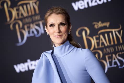 celine dion children's clothing line|Céline Dion explains inspiration behind gender.